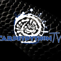 CarpetPythonsTV Thumbnail